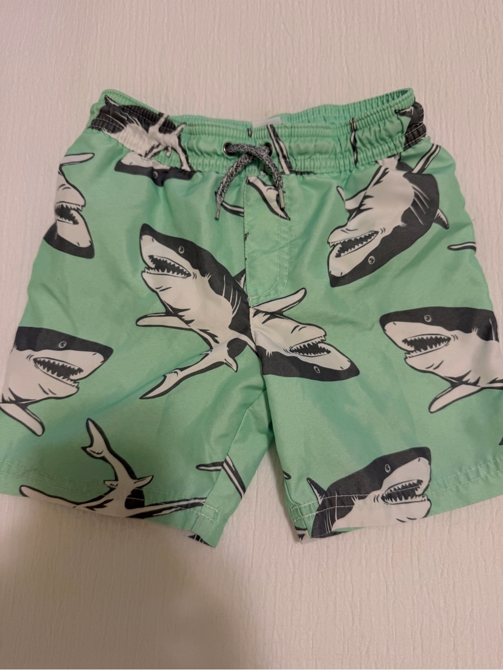 Carter's 4T Light Green Swim Shorts with Elastic Waist